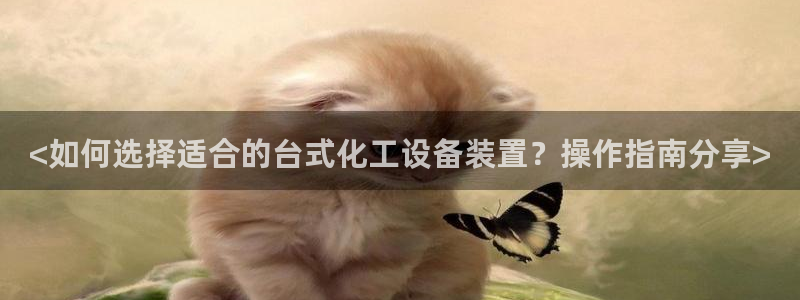 美獅會員充值中心