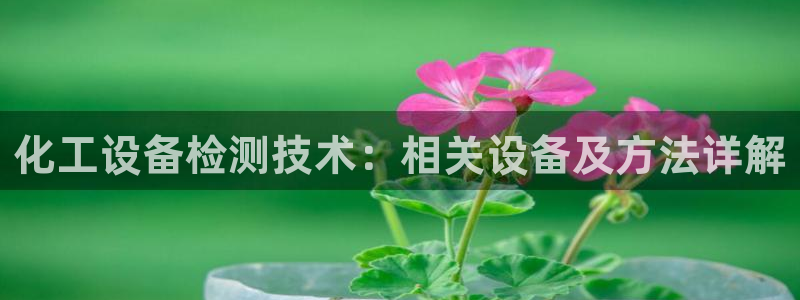 美獅外匯最新消息
