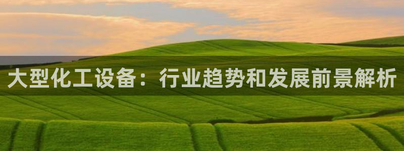 美獅集團有限公司