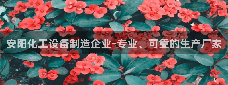 美獅會員充值中心在哪