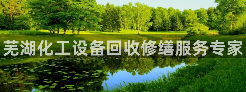美獅會員卡等級劃分圖
