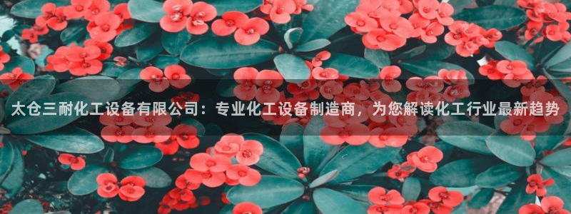 美獅貴賓會會員等級怎么看