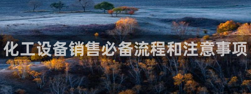 美獅貴賓注冊流程