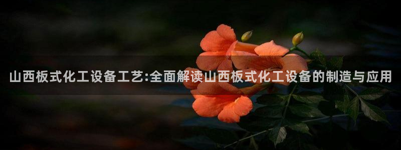 美獅貴賓會官方網下載