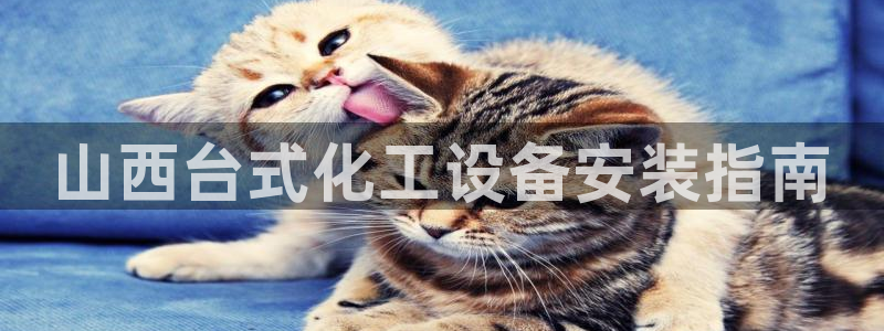 美獅外匯合法嗎