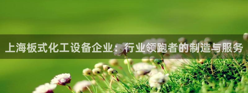 美獅貴賓注冊資金多少