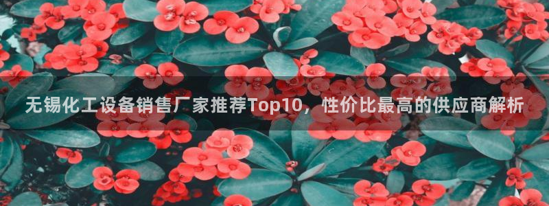 美獅品牌