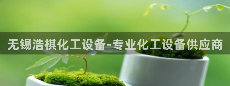 美獅科技有限公司