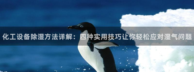 美獅貴賓注冊