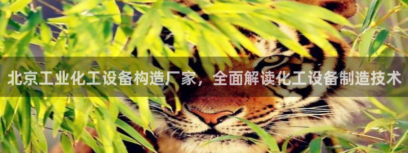 美獅貴賓會專屬app