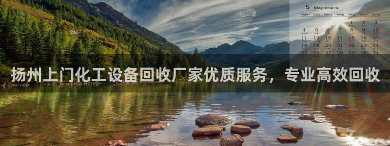 美獅國際控股集團