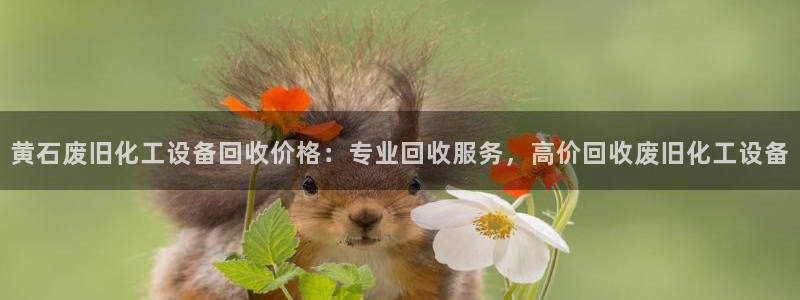 美國美獅集團