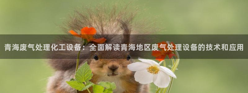 美獅會員卡