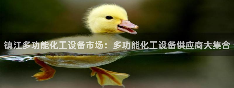 美國美獅集團