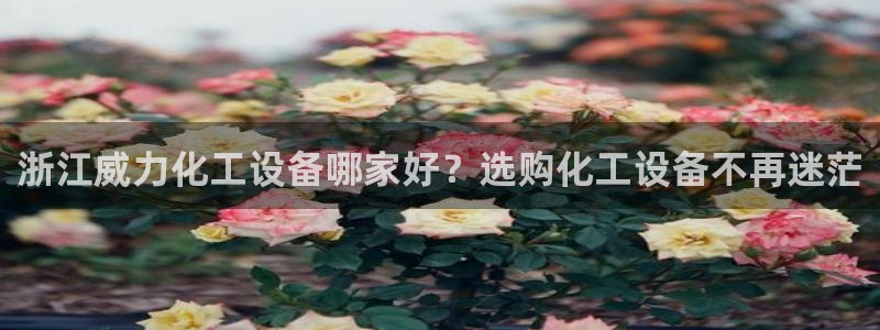 美獅會平臺真的假的