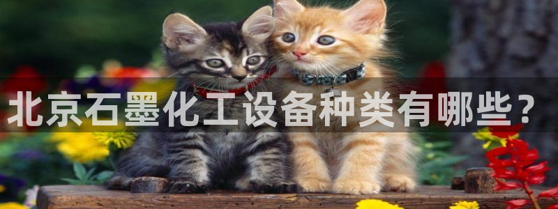 美獅貴賓會官網登錄