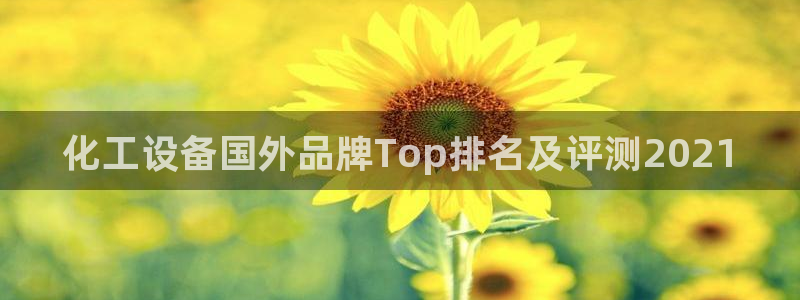 美獅傳媒集團簡介