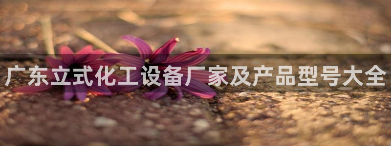 美獅貴賓注冊
