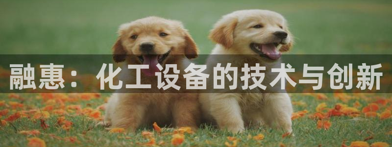 美獅會賺錢平臺是騙局嗎是真的嗎