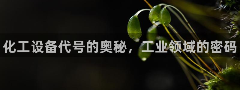 美獅官版2023最新版下載安裝