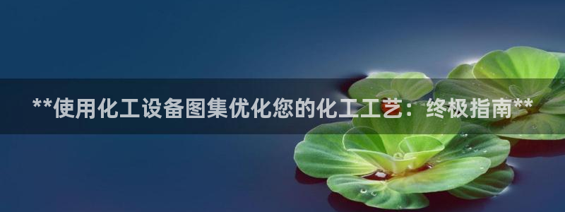 美獅會員卡等級有什么用