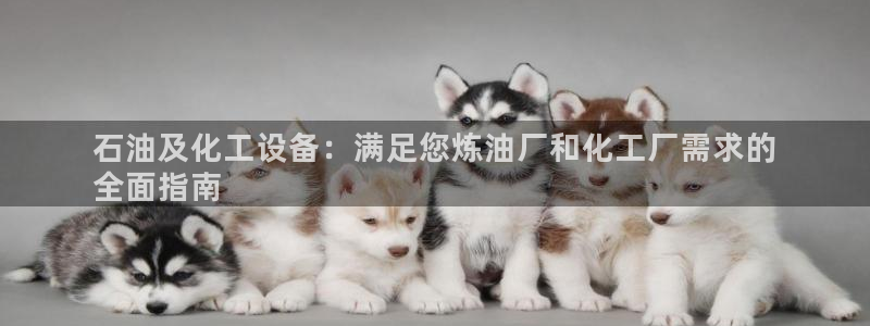 美獅貴賓快速充值中心