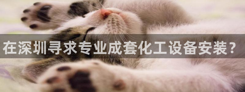 美獅貴賓會bbgames