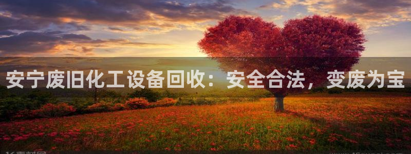 美獅會套利是真的嗎
