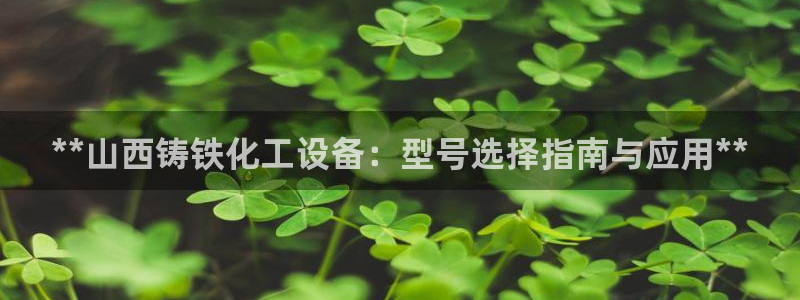美獅傳媒集團簡介