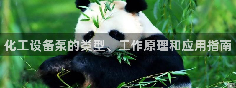 美獅貴賓會輸了幾萬