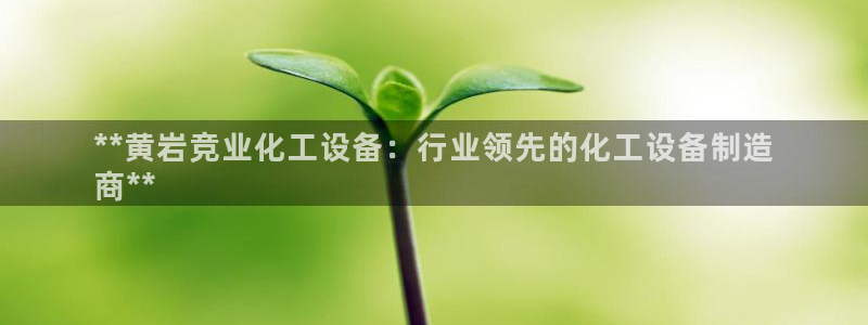 美獅傳媒集團有限公司怎么樣