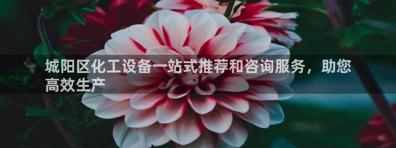 美獅會員卡等級劃分