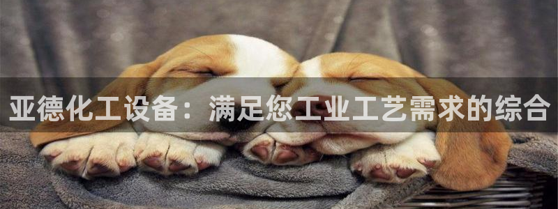 美獅會員注冊碼是什么