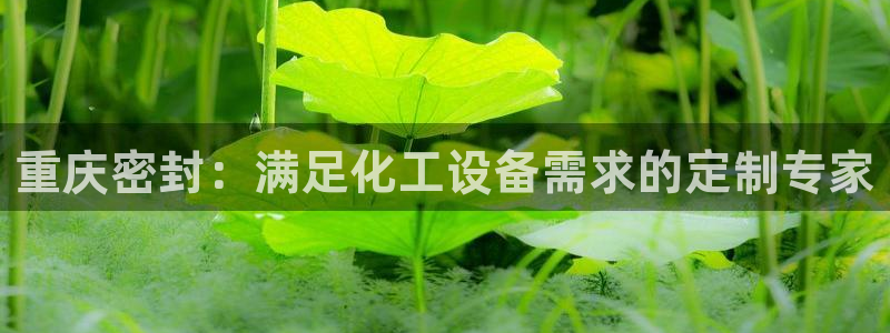美獅貴賓會0924455