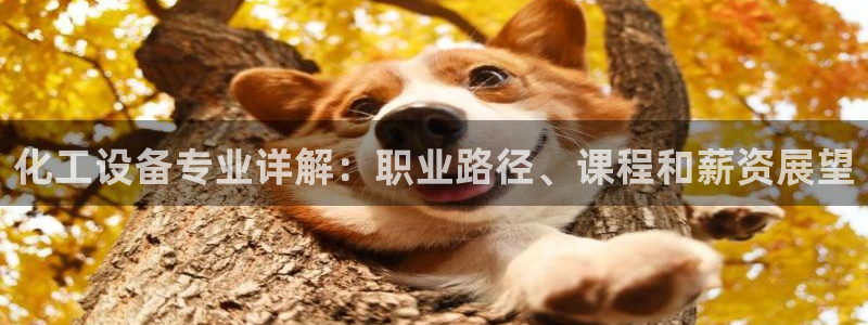 美獅品牌