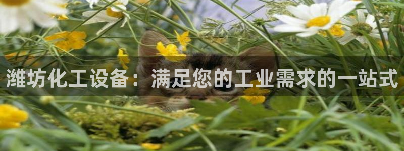 美獅充值中心官網