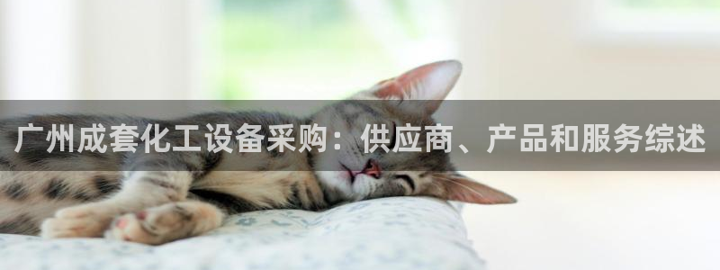 美獅會員注冊碼是什么