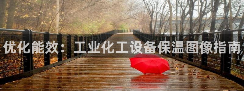 美獅貴賓會下載官方