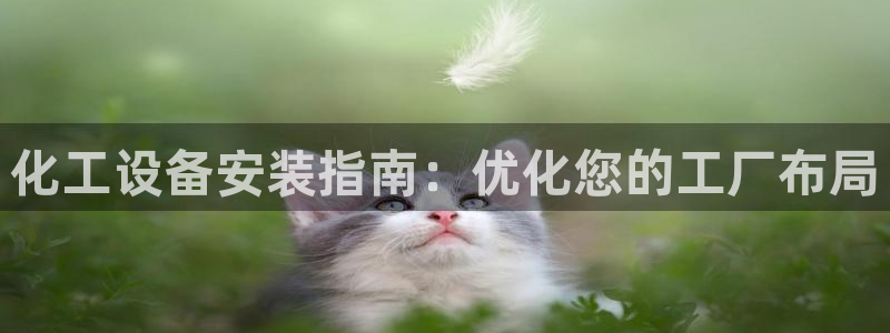 美獅科技