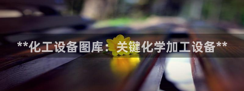 美獅貴賓會充值
