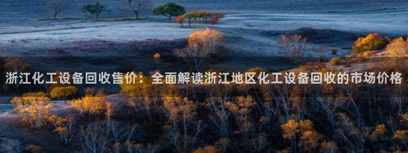 美獅貴賓注冊資金多少