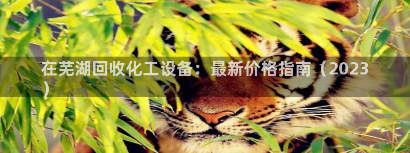 美獅貴賓會不給出款