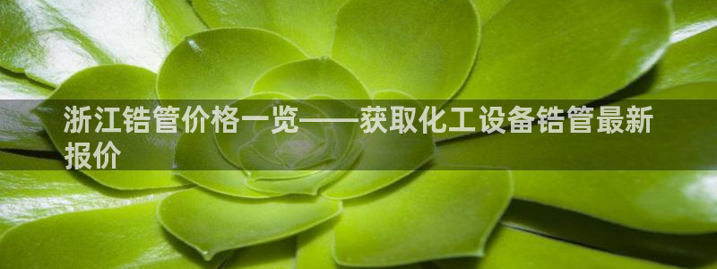 美獅品牌