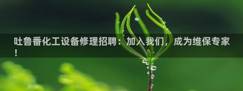 美獅 百度百科