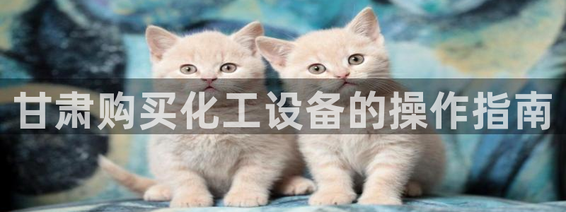 美獅品牌