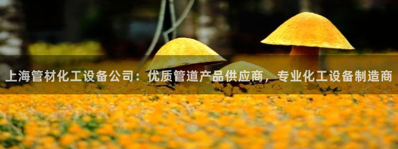 美獅是什么
