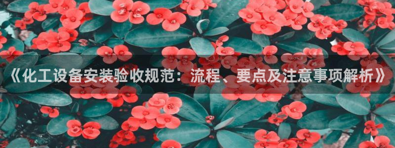 美獅貴賓快速充值中心怎么樣