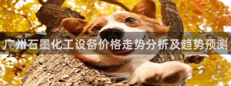 美獅科技有限公司