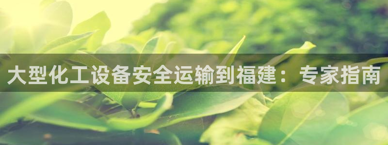 美獅貴賓會充值