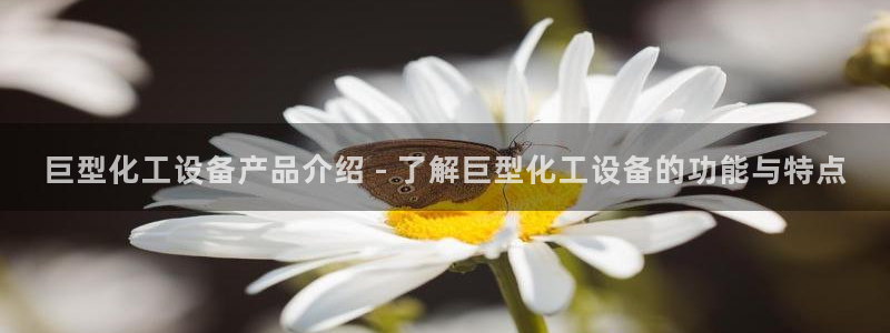 美獅貴賓會客戶端下載